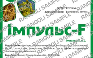 Импульс-F