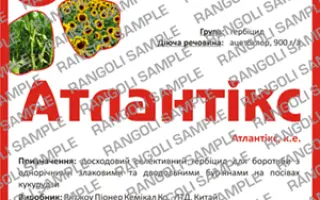 Атлантикс