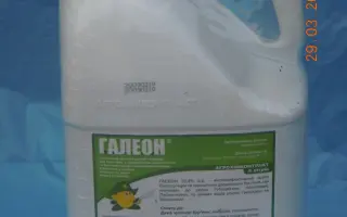 Галеон