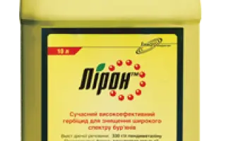 Лирон