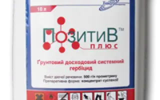 Позитив Плюс
