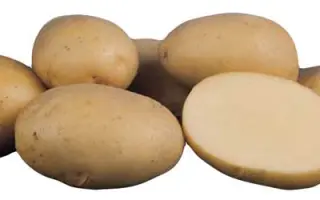 Ариель / АРИЭЛЛА / Arielle