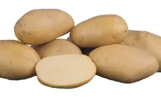 Импала / Impala