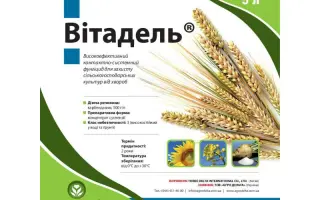 ВИTАДЕЛЬ