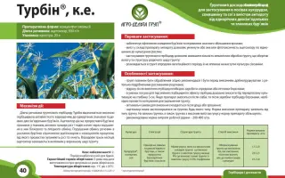 ТУРБИН