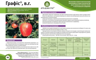 ГРАФИС