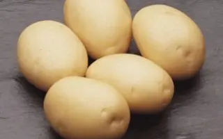 Каррера / Carrera