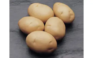 Джаэрла / Jaerla