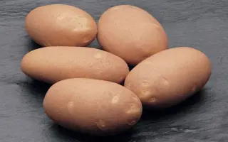 Инноватор / Innovator