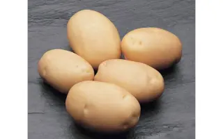 Фабула / Fabula