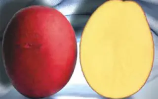 Романце / Romanze