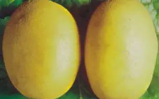 Деликат / Delikat