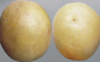 Карлена / Karlena