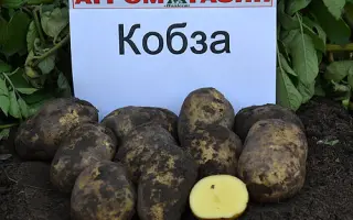 Кобза