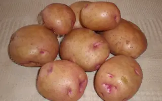 Бородянська рожева / Бородянский розовый