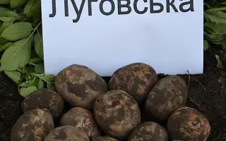 Луговська / Луговской