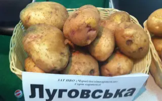 Луговська / Луговской