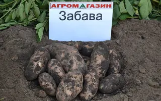 Забава