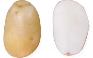 Невский / Невська