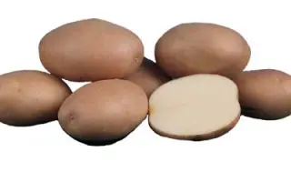 Романо / Romano