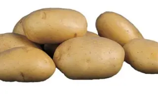 Космос / Cosmos