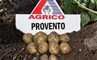 Провенто / Provento