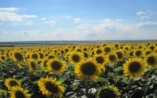 АЛЬБАТР F1 / ALBATRE F1