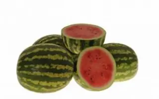 АУ-Продюсер / AU-Producer