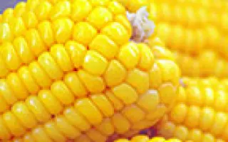 Деликатесная F1