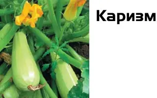 Каризма F1 / Carisma F1