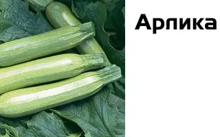 Арлика F1 / Arlika F1