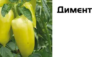 Диментио F1 / Dimentio F1