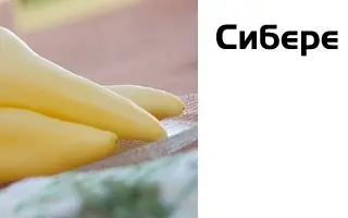 Сибере F1