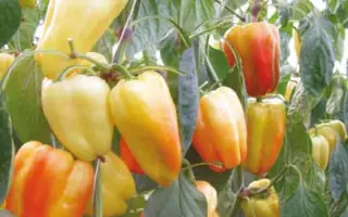 Барби F1 / Barbie F1