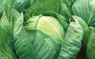 Либератор F1 / Liberator F1