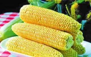 Спирит F1 / Spirit F1