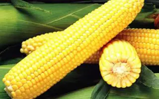 Джубили F1 / Jubilee F1