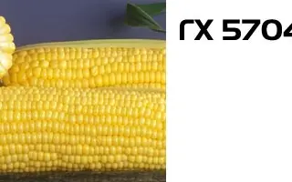 ГХ 5704 F1 / GH 5704 F1