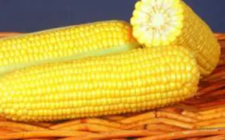 ГСС 8529 F1 / GSS 8529 F1