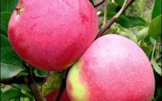 Слава Победителям