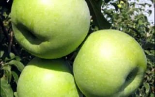 Симиренковец