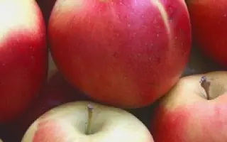 Айдаред / Aidared