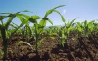 ЕС Анамур / ES Anamur