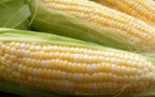 ЕС ТРИО / ES TRYO