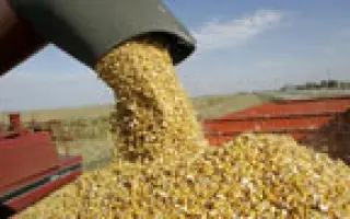 Аталис / Atalis