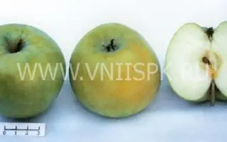 Ахтубинское