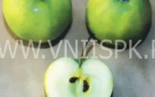 Башкирский изумруд