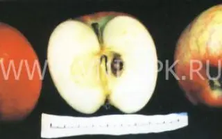 Беркутовское