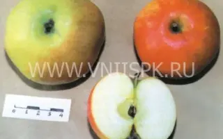 Бузовьязовское