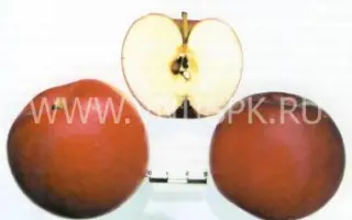 Веньяминовское